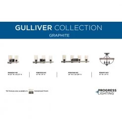 Gulliver Collection 24 in. 3-Light Graphite Finish Clear Seeded Glass Coastal Bathroom Vanity Light by Progress Lighting 17 Gulliver Collection 24 in. 3-Light Graphite Finish Clear Seeded Glass Coastal Bathroom Vanity Light by Progress Lighting -Progress Lighting Shop graphite progress lighting vanity lighting p300125 143 fa 1000