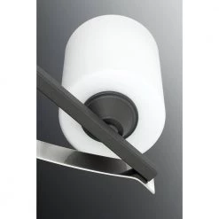 Dart Collection 3-Light Graphite Etched Glass Modern Bath Vanity Light by Progress Lighting 16 Dart Collection 3-Light Graphite Etched Glass Modern Bath Vanity Light by Progress Lighting -Progress Lighting Shop graphite progress lighting vanity lighting p300146 143 1f 1000