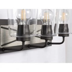 Briarwood Collection 3-Light Graphite Clear Glass Coastal Bath Vanity Light by Progress Lighting -Progress Lighting Shop graphite progress lighting vanity lighting p300231 143 1f 1000