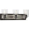 Briarwood Collection 3-Light Graphite Clear Glass Coastal Bath Vanity Light by Progress Lighting -Progress Lighting Shop graphite progress lighting vanity lighting p300231 143 64 1000