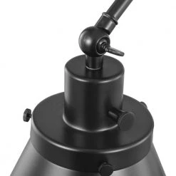 Hinton Collection 1-Light Black Swing Arm Adjustable Coastal Farmhouse Wall Light Sconce by Progress Lighting -Progress Lighting Shop graphite progress lighting wall lamps p710095 031 76 1000