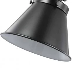 Hinton Collection 1-Light Black Swing Arm Adjustable Coastal Farmhouse Wall Light Sconce by Progress Lighting -Progress Lighting Shop graphite progress lighting wall lamps p710095 031 fa 1000