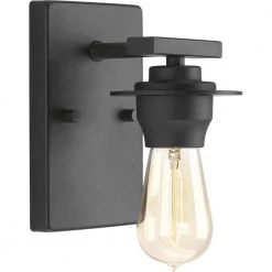 Debut Collection 1-Light Graphite Farmhouse Bath Vanity Light by Progress Lighting -Progress Lighting Shop graphite progress lighting wall sconces p300008 143 1f 1000