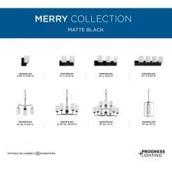 Merry Collection 30 in. 4-Light Matte Black Etched Glass Transitional Bathroom Vanity Light by Progress Lighting -Progress Lighting Shop matte black finish progress lighting vanity lighting p300330 031 44 1000
