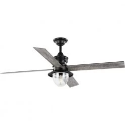 Gillen 56 in. LED Indoor/Outdoor Matte Black Vintage Electric Ceiling Fan with Light Kit and Clear Glass Shade by Progress Lighting