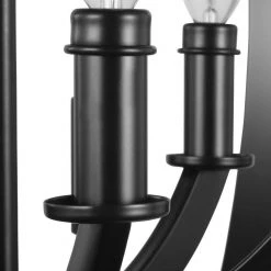 Equinox Collection Black Six-Light Sphere Pendant by Progress Lighting -Progress Lighting Shop matte black progress lighting chandeliers p3889 31 fa 1000