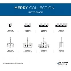Merry 5-Light Matte Black Etched Glass Transitional Chandelier Light by Progress Lighting -Progress Lighting Shop matte black progress lighting chandeliers p400275 031 44 1000