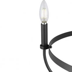 Camperdown 5-Light Matte Black Chandelier by Progress Lighting -Progress Lighting Shop matte black progress lighting chandeliers p400285 31m 66 1000