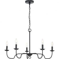 Canebrake 5-Light Matte Black Farmhouse Chandelier Light by Progress Lighting -Progress Lighting Shop matte black progress lighting chandeliers p400291 31m 44 1000