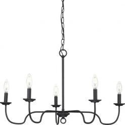 Canebrake 5-Light Matte Black Farmhouse Chandelier Light by Progress Lighting