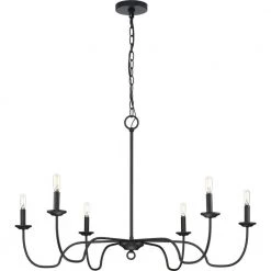 Canebrake 6-Light Matte Black Farmhouse Chandelier Light by Progress Lighting -Progress Lighting Shop matte black progress lighting chandeliers p400292 31m fa 1000