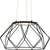 Geodesic LED Collection 1-Light Matte Black Modern Hanging Pendant Light by Progress Lighting -Progress Lighting Shop matte black progress lighting chandeliers p500319 031 30 64 1000