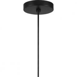 Jocassee 1-Light Matte Black Pendant with Rattan Shade by Progress Lighting -Progress Lighting Shop matte black progress lighting chandeliers p500338 31m fa 1000