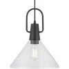 Suwanee 1-Light Matte Black Pendant with Clear Seeded Glass Shade by Progress Lighting -Progress Lighting Shop matte black progress lighting chandeliers p500346 31m 64 1000