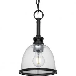 Pelzer 1-Light Matte Black Mini-Pendant with Clear Glass Shade by Progress Lighting