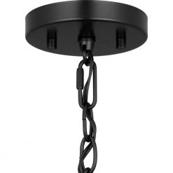 Pelzer 1-Light Matte Black Mini-Pendant with Clear Glass Shade by Progress Lighting -Progress Lighting Shop matte black progress lighting pendant lights p500339 31m fa 1000