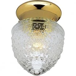 1-Light Polished Brass Flush Mount with Clear Patterned Glass by Progress Lighting