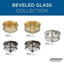 3-Light Polished Brass Clear Beveled Glass Traditional Indoor Outdoor 9-3/4" Flush Mount Light by Progress Lighting -Progress Lighting Shop polished brass progress lighting flush mount lights p5788 10 1f 1000