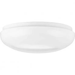 Linear LED Cloud 1-Light Flush Mount by Progress Lighting