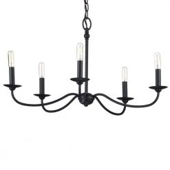 Pacolet 28 in. 5-Light Textured Black Farmhouse Circle Chandelier for Dining Room by Progress Lighting