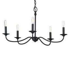 Pacolet 28 in. 5-Light Textured Black Farmhouse Circle Chandelier for Dining Room by Progress Lighting -Progress Lighting Shop textured black progress lighting chandeliers p400233 031 fa 1000