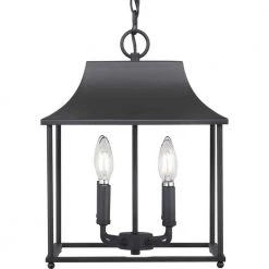 Alimason 4-Light Textured Black Pendant by Progress Lighting