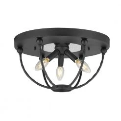 Pacolet 14.75 in. 3-Light Textured Black Flushmount by Progress Lighting -Progress Lighting Shop textured black progress lighting flush mount lights p350176 031 1f 1000