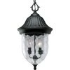 Coventry Collection 2-Light Textured Black Hammered Glass Traditional Outdoor Hanging Lantern Light by Progress Lighting -Progress Lighting Shop textured black progress lighting outdoor chandeliers p5529 31 64 1000