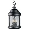 Ashmore Collection 3-Light Textured Black Water Seeded Glass New Traditional Outdoor Hanging Lantern Light by Progress Lighting