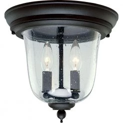 Ashmore Collection 2-Light Textured Black Clear Seeded Glass New Traditional Outdoor Close-to-Ceiling Light by Progress Lighting
