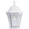 Welbourne Collection 1-Light Textured White Clear Beveled Glass Traditional Outdoor Hanging Lantern Light by Progress Lighting -Progress Lighting Shop textured white progress lighting outdoor chandeliers p5582 30 64 1000
