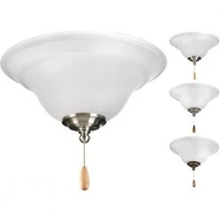 Trinity Collection 2-Light Unfinished Ceiling Fan Light Kit by Progress Lighting -Progress Lighting Shop unfinished progress lighting ceiling fan light kits p2628 01wb 40 1000