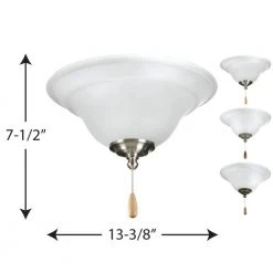Trinity Collection 2-Light Unfinished Ceiling Fan Light Kit by Progress Lighting -Progress Lighting Shop unfinished progress lighting ceiling fan light kits p2628 01wb 76 1000