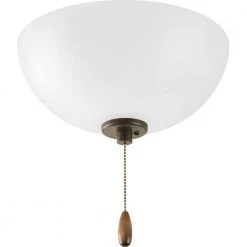 Bravo Collection 2-Light Unfinished Ceiling Fan Light Kit by Progress Lighting -Progress Lighting Shop unfinished progress lighting ceiling fan light kits p2650 01wb 40 1000