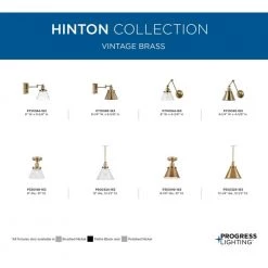 Hinton 1-Light Vintage Brass Seeded Glass Industrial Pendant Light by Progress Lighting -Progress Lighting Shop vintage brass progress lighting chandeliers p500324 163 1f 1000