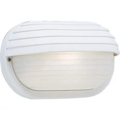 1-Light 5.9 in. Outdoor White Wall Lantern by Progress Lighting