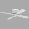 AirPro Hugger 42 in. Indoor White Ceiling Fan by Progress Lighting