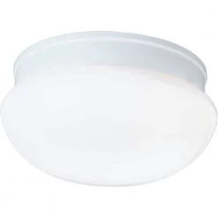1-Light White Flush Mount with White Glass by Progress Lighting