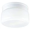 2-Light White Flush Mount with White Glass by Progress Lighting -Progress Lighting Shop white progress lighting flush mount lights p3518 30 64 1000