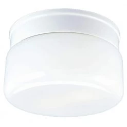 2-Light White Flush Mount with White Glass by Progress Lighting