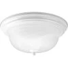 2-Light White Flush Mount with Alabaster Glass by Progress Lighting