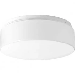 11 in. LED Drums 21-Watt White Integrated LED Flush Mount for Garage and Pantry by Progress Lighting