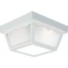 2-Light White Acrylic Shade Traditional Outdoor Close-to-Ceiling Light by Progress Lighting -Progress Lighting Shop white progress lighting outdoor flush mount lights p5745 30 64 1000